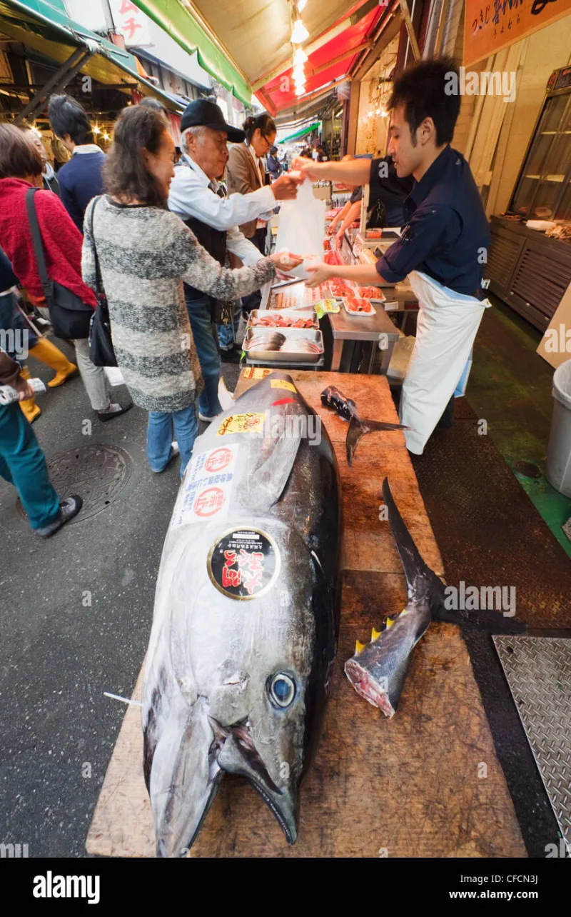 Tuna, Tea, and a Strait Full of Boats: Your Morning at Karato Market